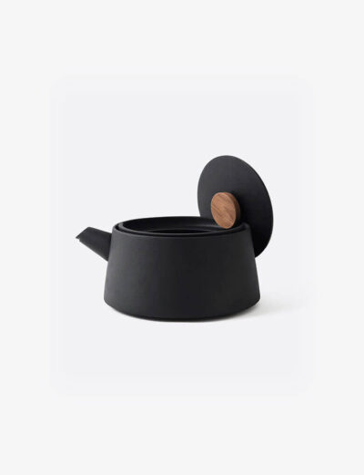 Iron kettle nambu tekki